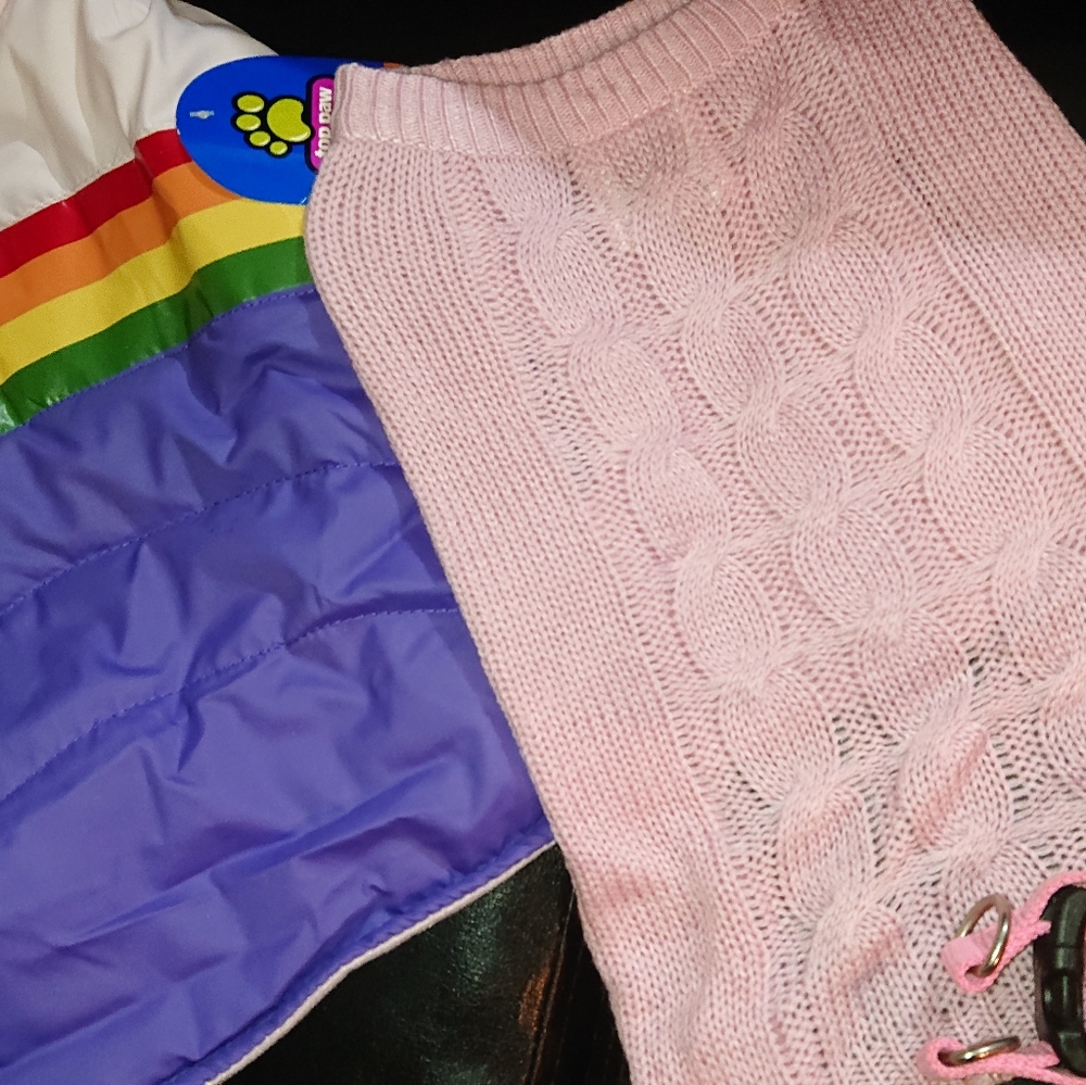 Dog clothes